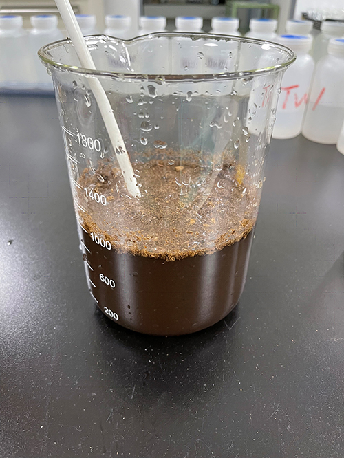 Experimental Test of Molybdenum Metal Adsorption Catalyst 02